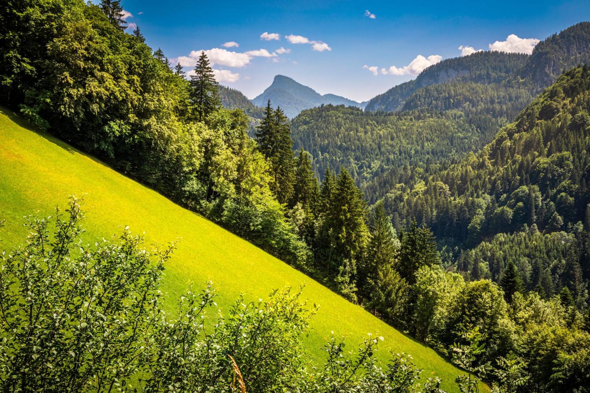 Biobauernhof Schneiderbauer Apartment อุนเคน ภายนอก รูปภาพ